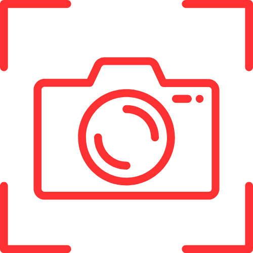 Best Free Live Porn